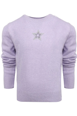 Одежда Джемпер Фиолетовый