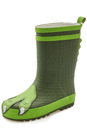 Обувь Сапоги Зелёный